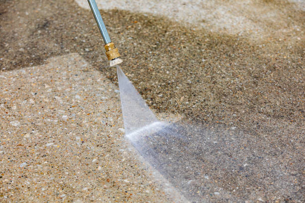 Best Roof Washing  in Winsted, MN